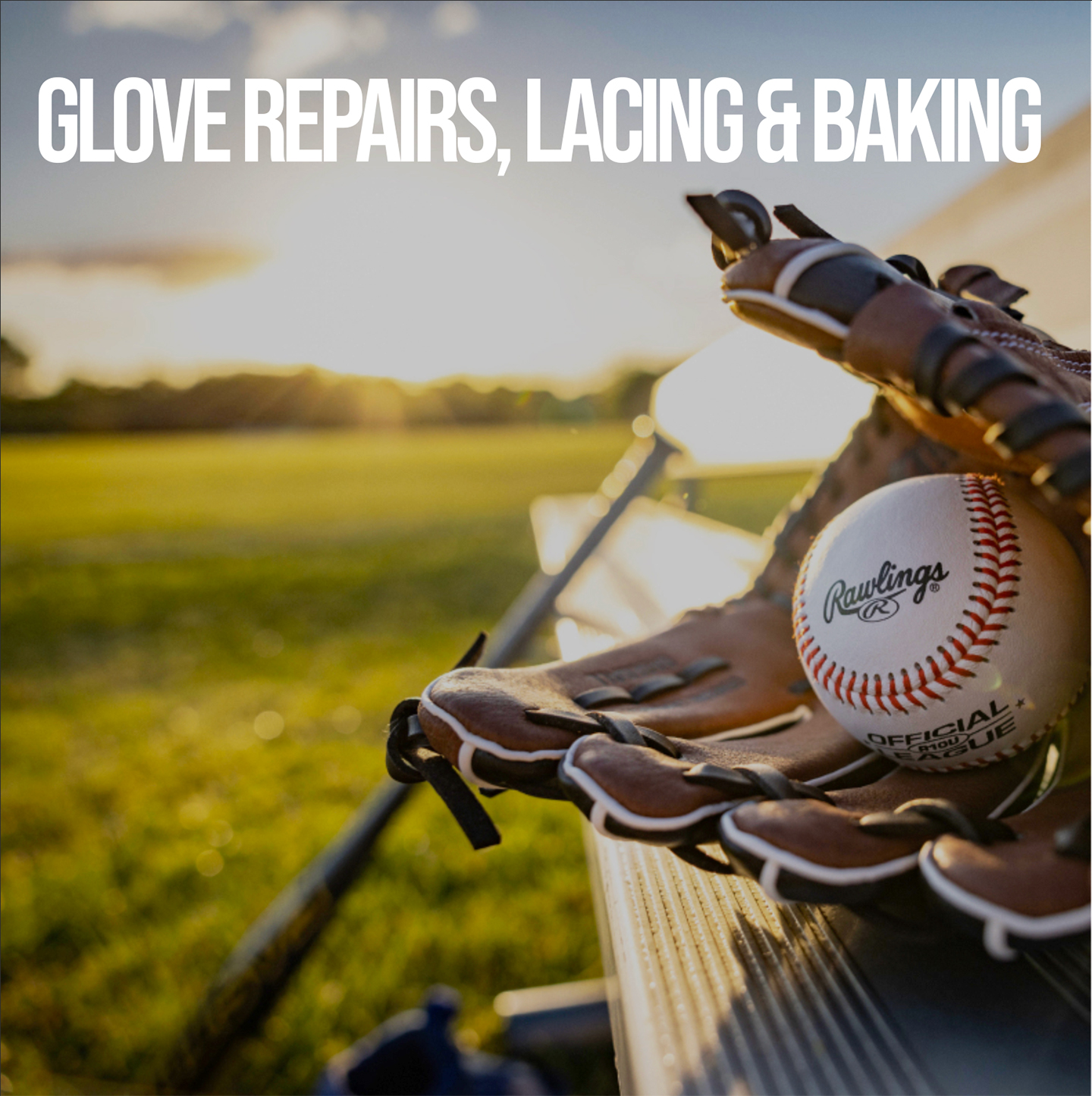 Baseball Glove