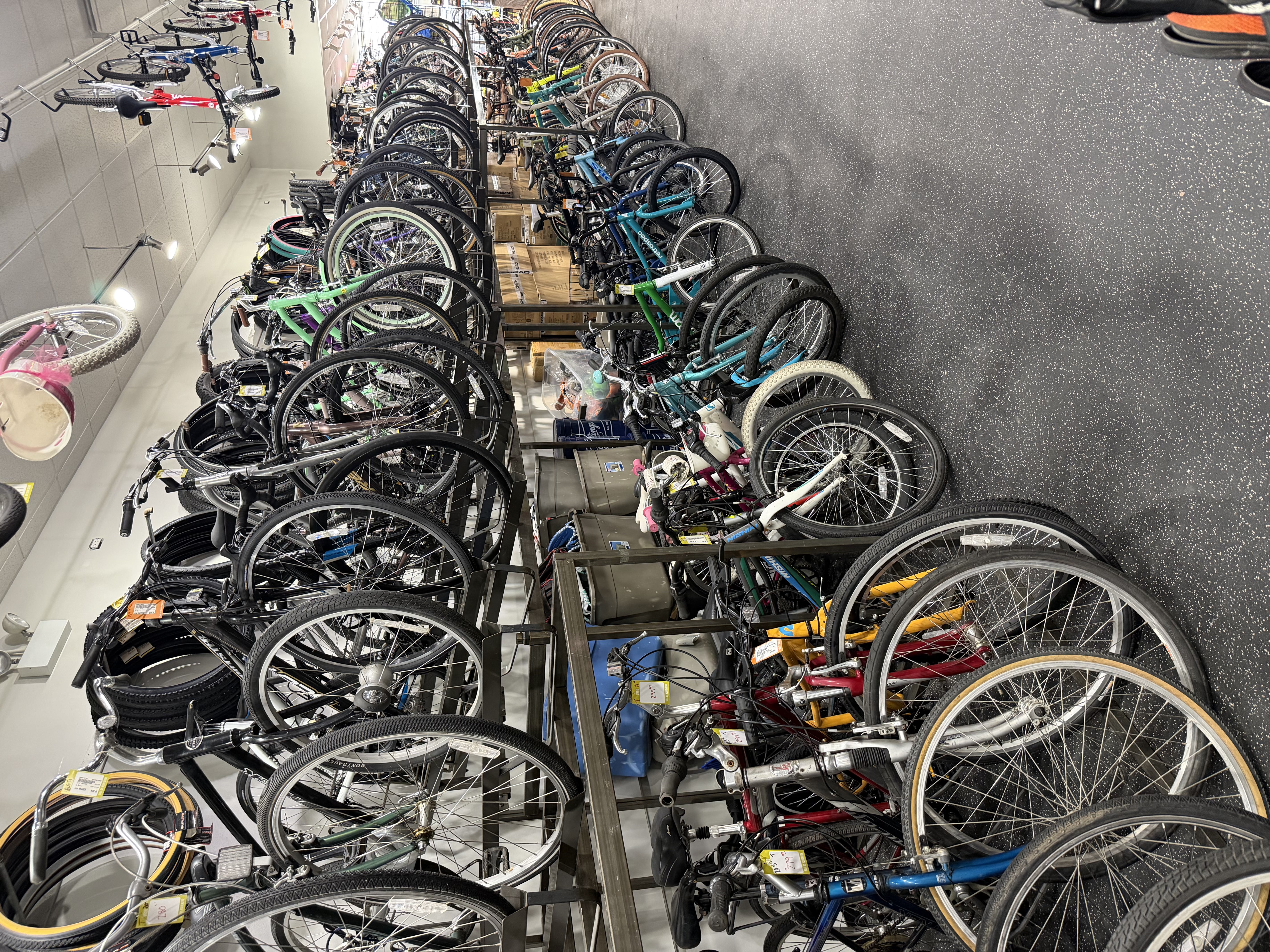 Two rows of bikes
