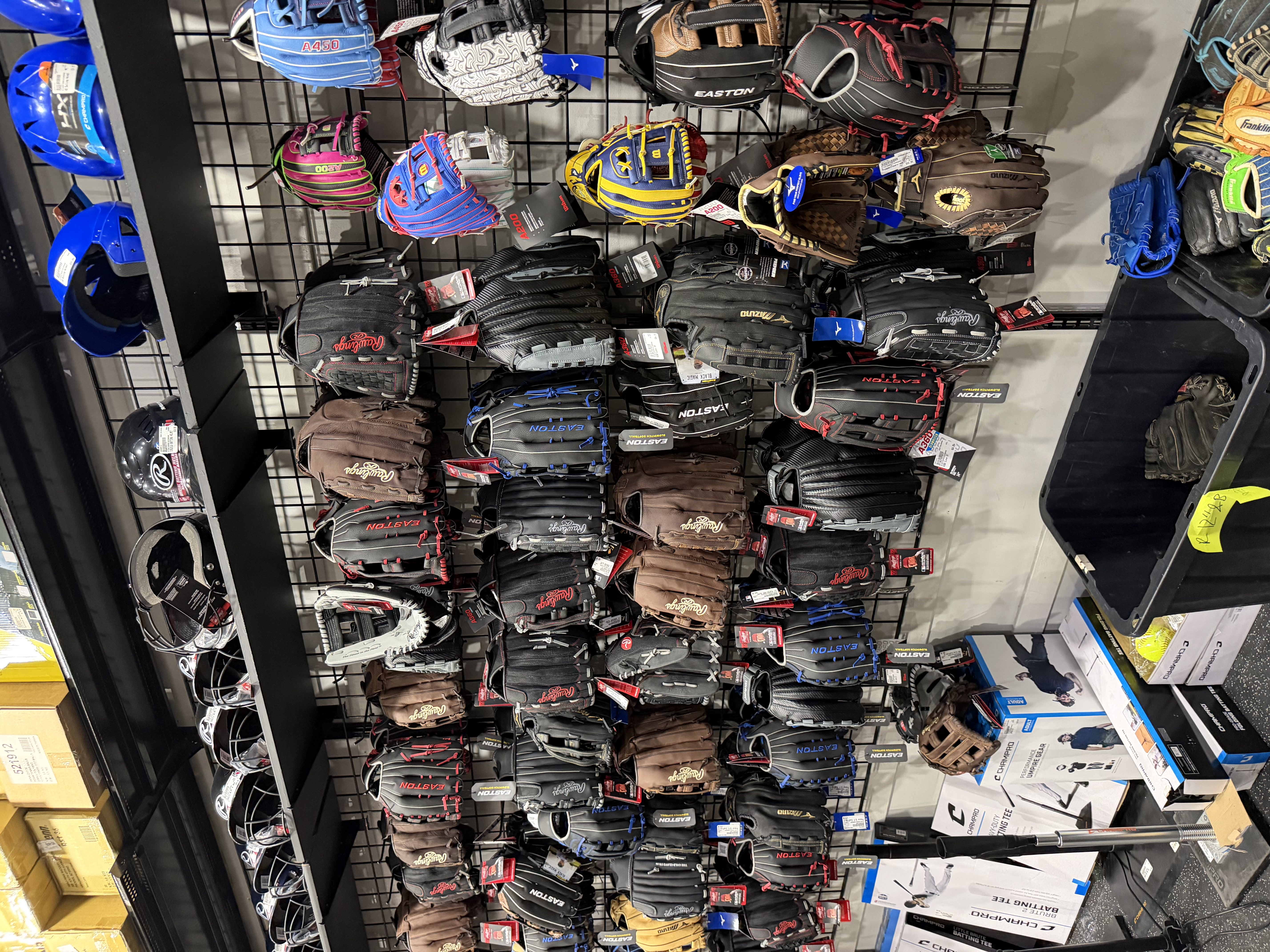 Wall of hanging baseball gloves