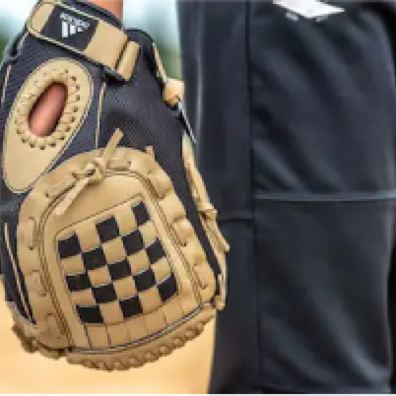 Baseball players glove