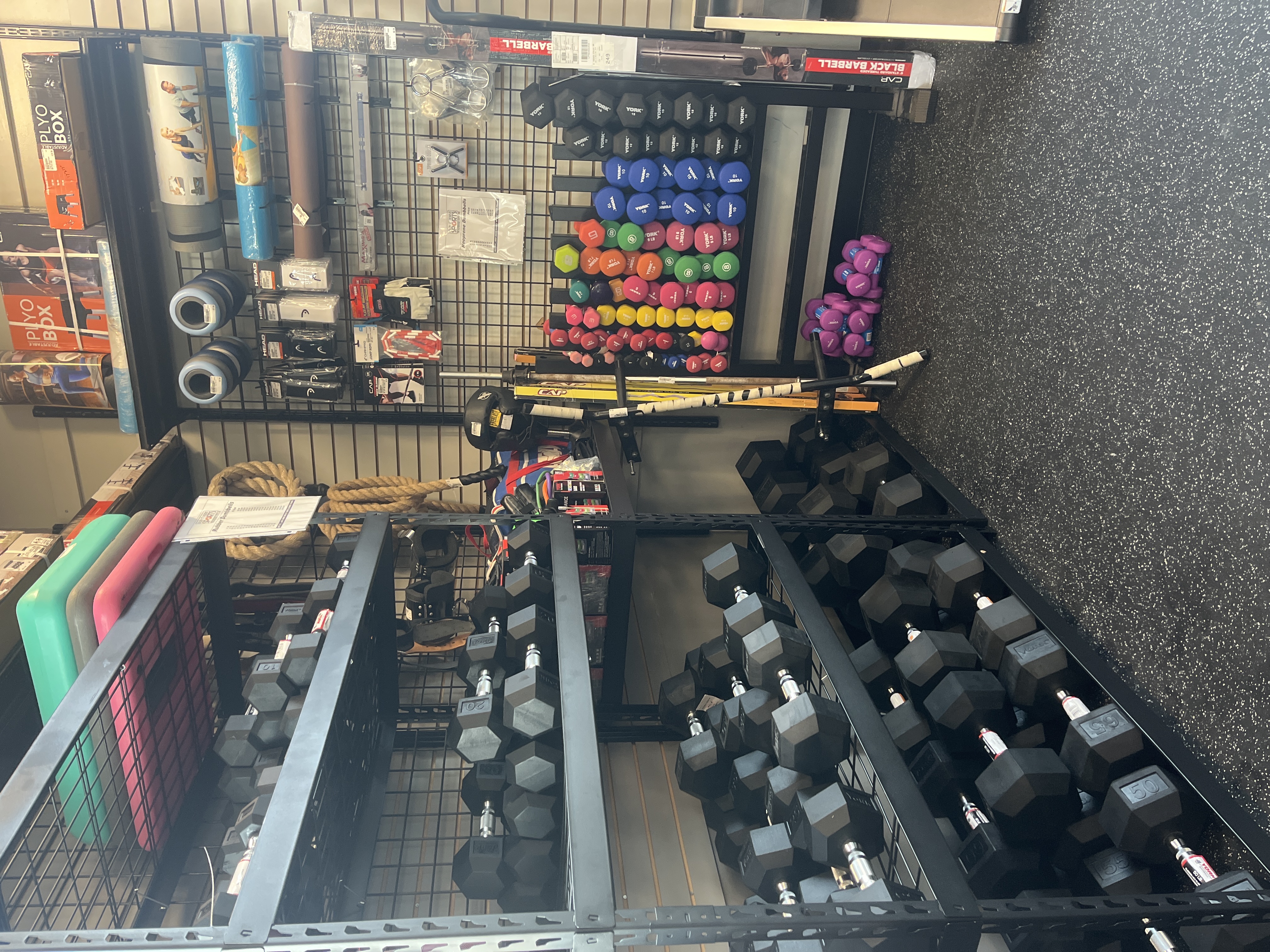 Exercise and Fitness