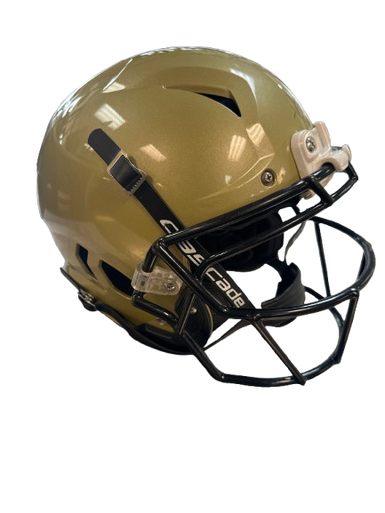 Used Schutt VENGANCE Z10 LTD FB Helmet Gold MD