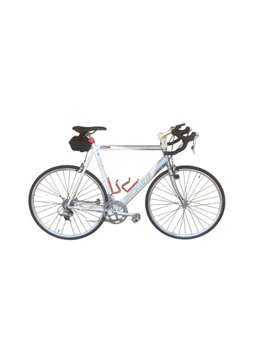 Used Specialized ALLEZ 56-58cm - LG Frame 18 Speed Men's