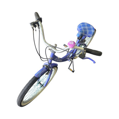 electrical bicycle controller E-bike Controller: the newest 'essential' component
