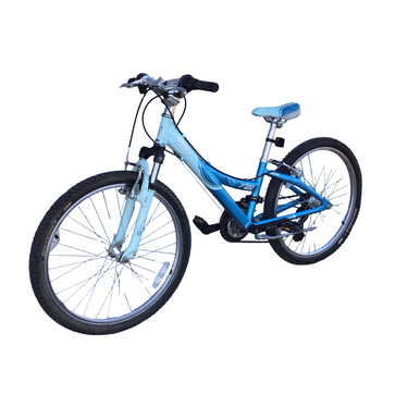 Used Trek MT220 Mountain Bike Girls Royal Blue 24