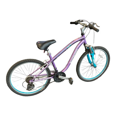 schwinn atlas bicycle Fitness Hybrid Bike this bike was born to support every type of rider Purple Schwinn Atlas 24 Purple