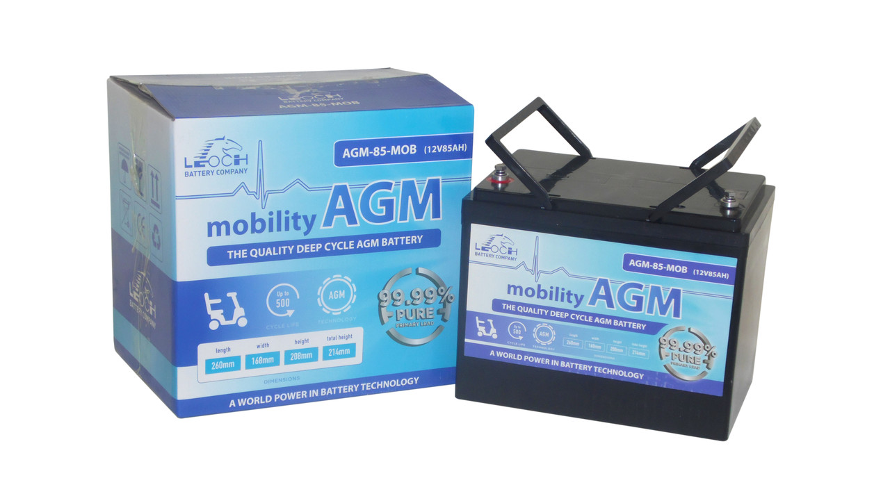 leoch agm battery