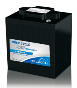 Leoch LDC6-245 6V 245Ah AGM-Gel hybrid battery installed in golf cart