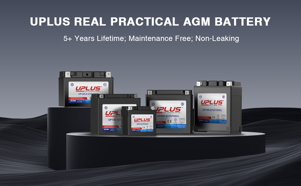 YTZ12S AGM Powersport Battery