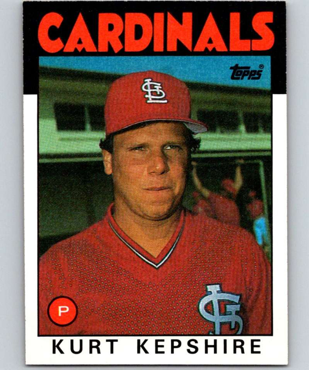 Superstars of the St. Louis Cardinals - Apple Books