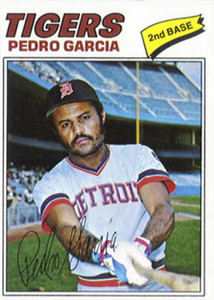 1977 Topps #453 Pedro Garcia VG Detroit Tigers 