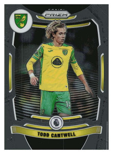 2021-22 Panini Prizm Premier League #175 Todd Cantwell NM-MT Norwich City 