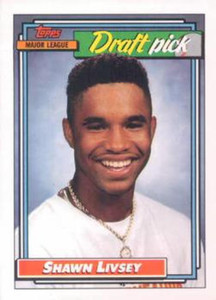 1992 Topps #124 Shawn Livsey VG RC Rookie Houston Astros 