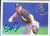 Steve Sax Autographed 1994 Fleer #94