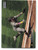 2021 Stadium Club #292 Fernando Tatis Jr. NM-MT San Diego Padres 