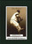 2005 UD Origins Old Judge #111 Warren Spahn NM-MT Atlanta Braves 