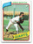 1980 Topps #588 Greg Minton VG San Francisco Giants 