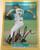 Matt Turner Autographed 1994 Score Gold Rush #306