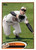 2012 Topps #468 Nick Markakis NM-MT Baltimore Orioles 