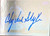 Andy Van Slyke Autographed 1994 Upper Deck Denny's Holograms #6 Andy Van Slyke Autographed 1994 Upper Deck Denny's Holograms #6