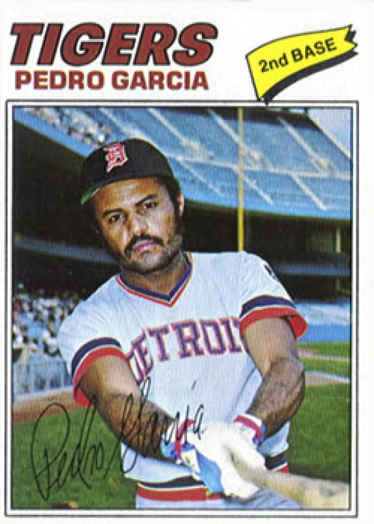 1977 Topps #453 Pedro Garcia VG Detroit Tigers 