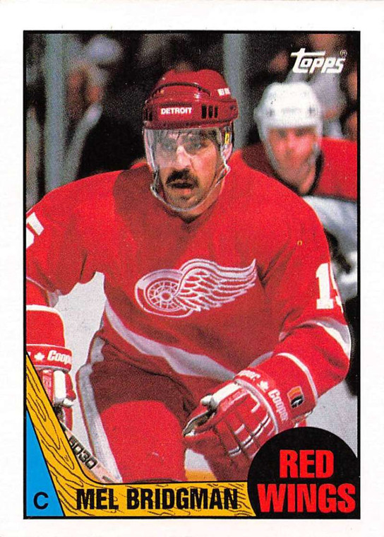 1987-88 Topps #17 Mel Bridgman VG  Detroit Red Wings 
