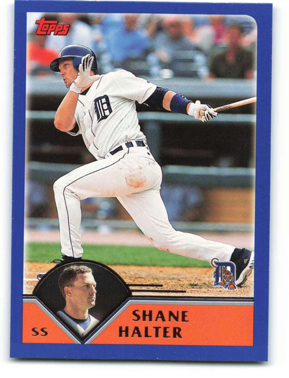 2003 Topps #232 Shane Halter VG Detroit Tigers 