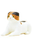 Blind Box ~ Cat Pharaoh  ~ Includes 1 of 5  Figurines