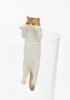 Blind Box ~ Exotic Shorthair  ~ Includes 1 of 8  Figurines