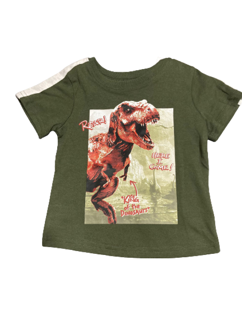 Dinosaur Printed T-Shirt by Garamiamals 12 Months