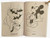 Micky Mouse Spooky Fun Coloring Book