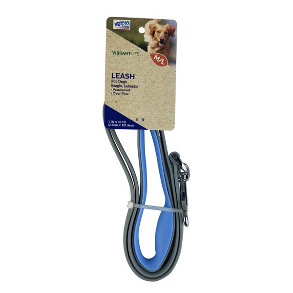 Vibrant Life 4-Foot Dog Leash, Teal and Gray