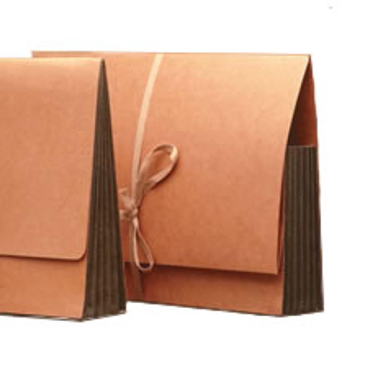 Redweld Wallet/Pocket with Envelope Flap & Cloth Tie LegalSupply