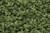 Woodland Scenics Model Railroad Landscape Underbrush Clump-Foliage Light Green
