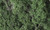 Woodland Scenics Model Railroad Landscape Fine Leaf Foliage Dark Green
