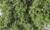 Woodland Scenics Model Railroad Landscape Fine Leaf Foliage Medium Green