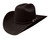 Stetson 4X Apache Black Buffalo Fur Felt Cowboy Western Hat - Size 7