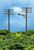 Atlas N Scale Model Railroad/Train Accessory Telephone Poles (12 Pack)