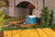 Faller HO Scale Building/Structure Kit Allotment Garden with Figures & Details