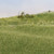 Woodland Scenics Model Railroad Static Grass Field System Medium Green 1/16"