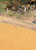 Walthers SceneMaster HO Scale Harvest Wheat Field (Brown) Scenery Kit