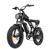 Off-road Electric Bike 1000W 20ah Black