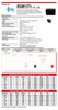 Raion Power RG0613T1 6V 1.3Ah Battery Data Sheet for Stairmaster 3900RC