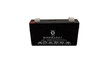 Raion Power RG0613T1 Rechargeable Compatible Replacment Battery for Criticare Systems 504 Pony