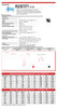 Raion Power RG0670T1 Battery Data Sheet for McGaw Accu Pro Infusion Pump N7510