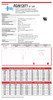 Raion Power 6V 12Ah AGM Battery Data Sheet for Organon Teknika BACT Alert Incubator