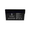 Raion Power RG1220ST1 12V 2Ah Compatible Replacement Battery for B. Braun 521, 522 Intell Pump