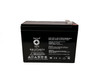 Raion Power RG12100T2 12V 10Ah Compatible Replacement Battery for Hill-Rom 4144324