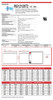 Raion Power 12V 12Ah AGM Battery Data Sheet for Allied Healthcare 135 Portable Suction Unit