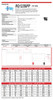 Raion Power 12V 35Ah Battery Data Sheet for Philips PMX2000 X-Ray